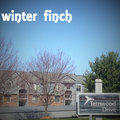 Winter Finch image