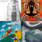 Amazon.co.jp: since: Music