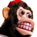 Jorge Moose thumbnail