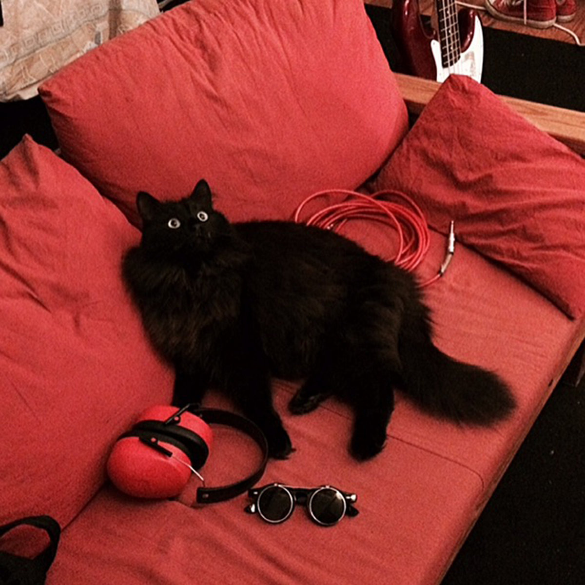 Purr | Purr