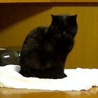 rutsumi thumbnail
