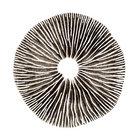 woodenfruit thumbnail