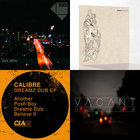 An Anthology Of Noise & Electronic Music #6 | V/A | Sub Rosa Label