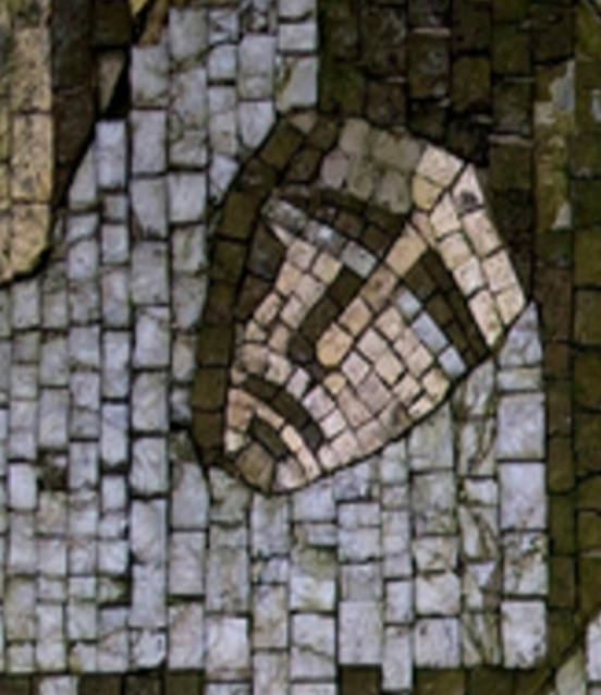 ［とみちゃん］The Last Whole Earth Catalog Amazon.co.jp: The Last Whole Earth Catalog .access to