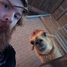 brandon thumbnail