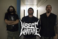 Insect Warfare image