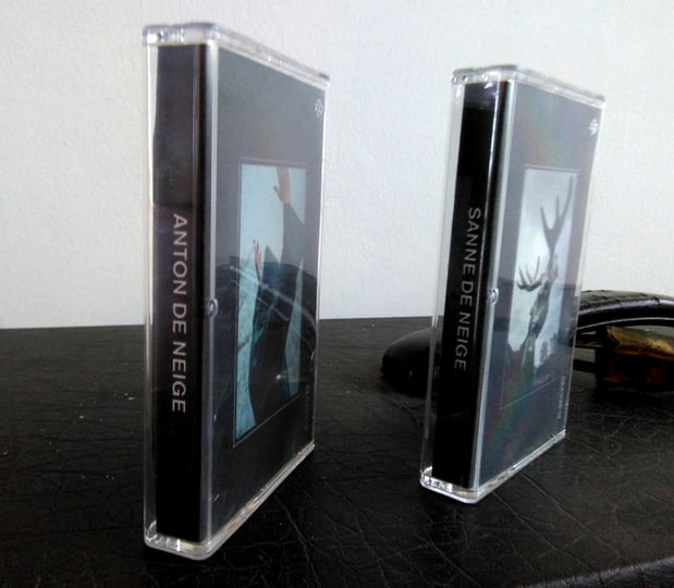 Sanne de Neige - The Forest Tapes (ICR 008) | InClub Records