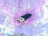 5-25GB FLASH DRIVE WITH GODKNOWSWHAT ON IT photo 