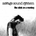Savage Sound System image