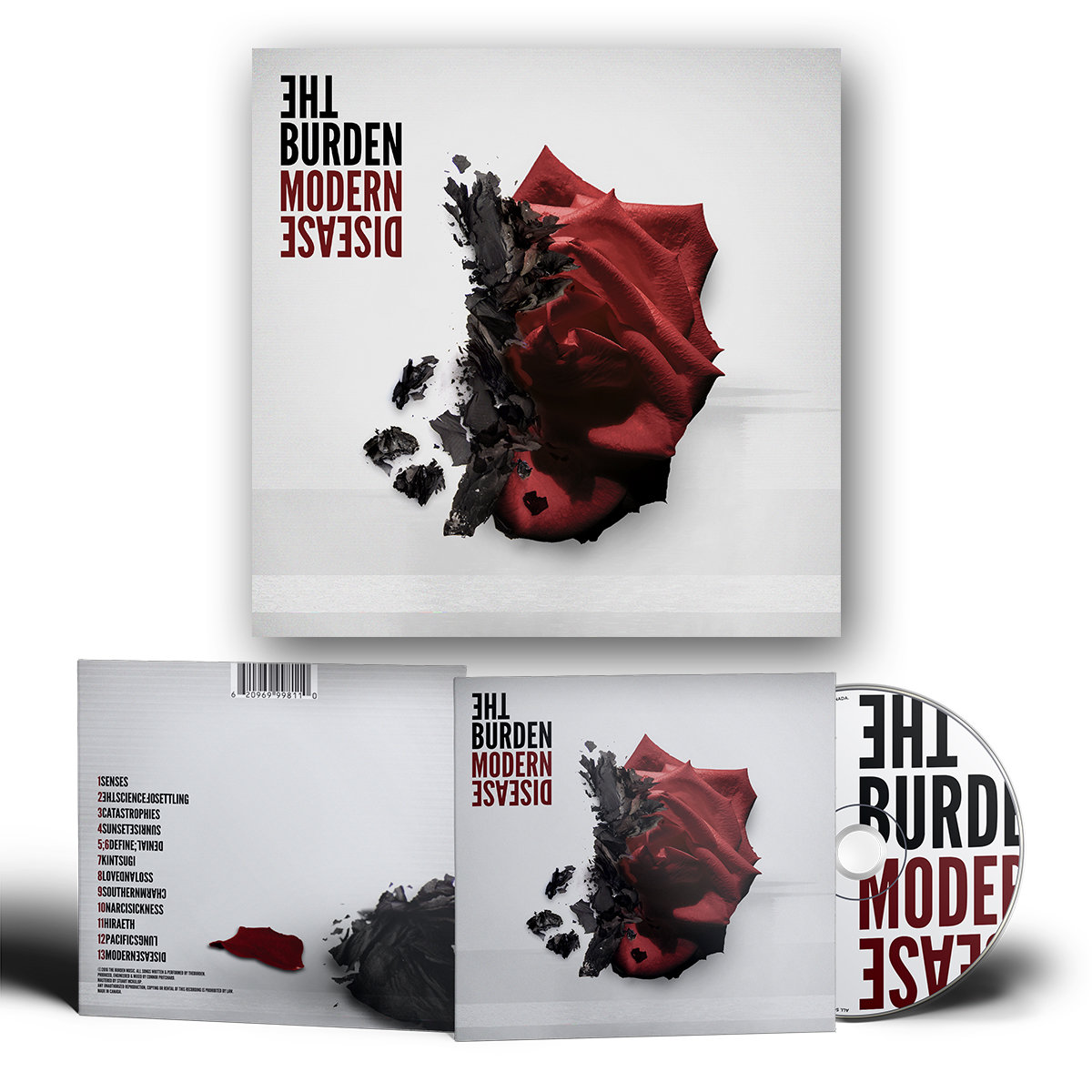 Modern Disease The Burden