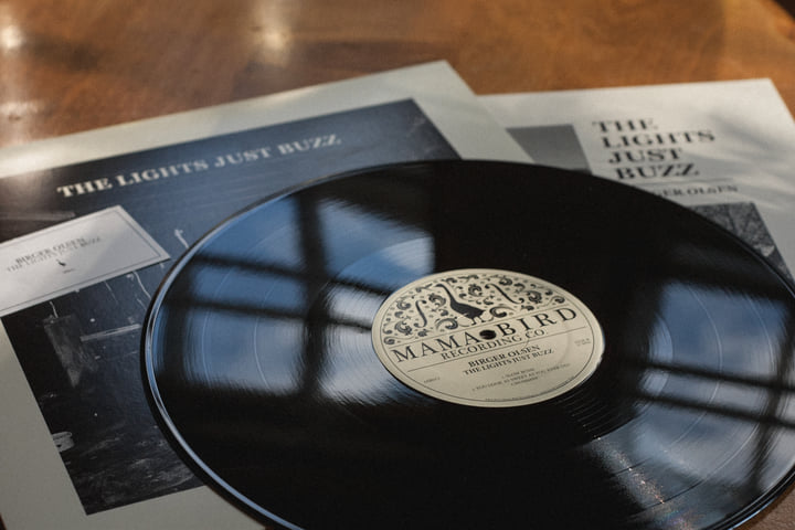 The Lights Just Buzz | Birger Olsen | Mama Bird Recording Co.