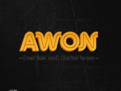 Awon - Matte Black Soul - (CHAT NOIR Version) Vinyl 2LP main photo