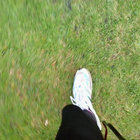 A Brown thumbnail