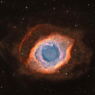 Rick Stevenson thumbnail