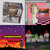 Descendents hypercaffium spazzinate - Die Favoriten unter der Menge an Descendents hypercaffium spazzinate