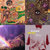 Nicholas MacDonald thumbnail