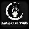 Badgers Records image