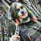Peter Pasternack thumbnail
