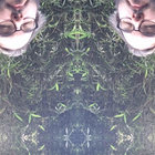 Thomas Grindle thumbnail