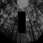 Filip Olszewski thumbnail