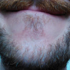 Shrew thumbnail