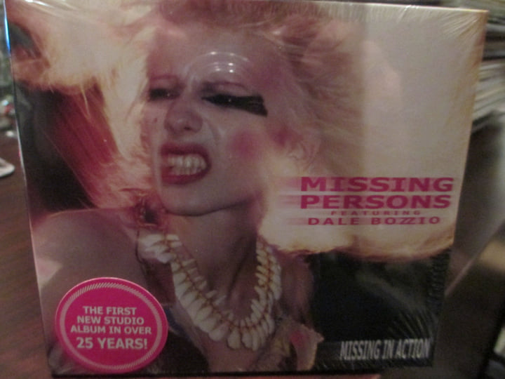 Missing In Action | Missing Persons