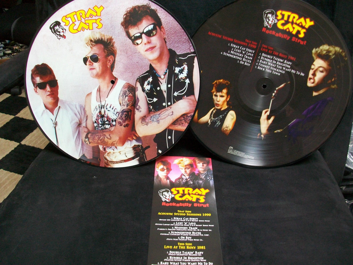 rockabilly abandoned cats