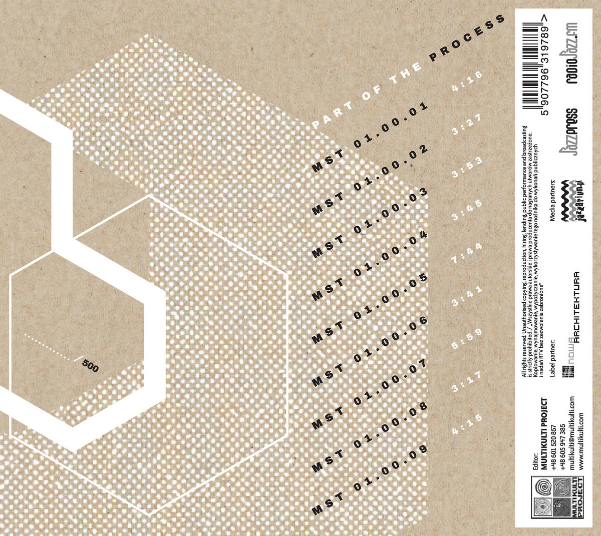 Part of the Process | Modular String Trio | Multikulti Project