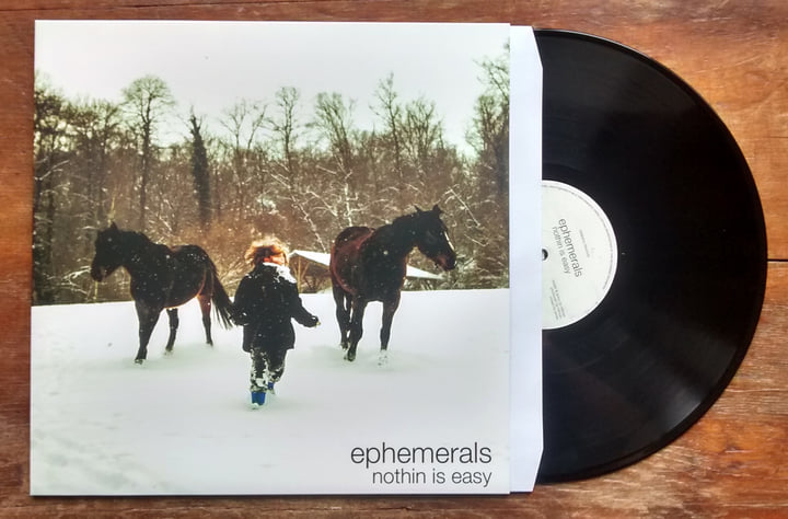 EPHEMERALS-NOTHIN IS EASY 限定LP ヴィンテージソウル Nothin Is Easy | ephemerals