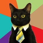 Ron Daily thumbnail
