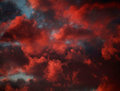 Blood Ember Sunsets image
