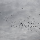 entropy_ thumbnail