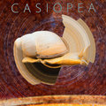 Casiopea image