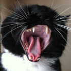 Awemage thumbnail