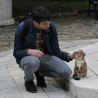 David thumbnail