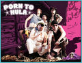 Porn To Hula image