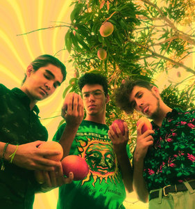 Vincent Mango — Photo
