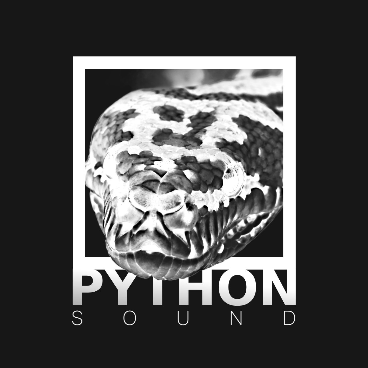 Wrong Turn/Payback | FBC | Python Sound