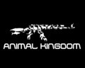 AnimalKingdomRecords image