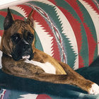 Annette Glenn-Macher thumbnail
