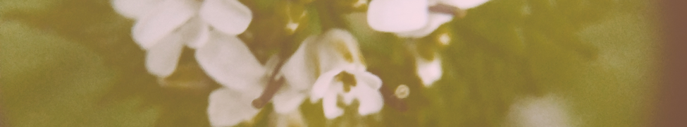 Grainger — Photo