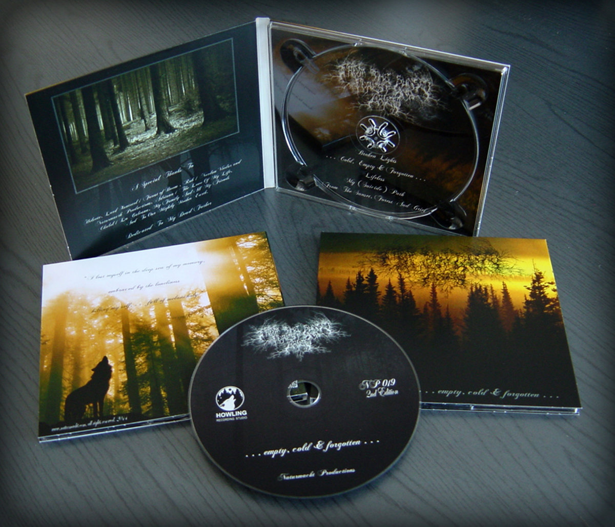 Empty, Cold & Forgotten (NP019) | From the Sunset, Forest and