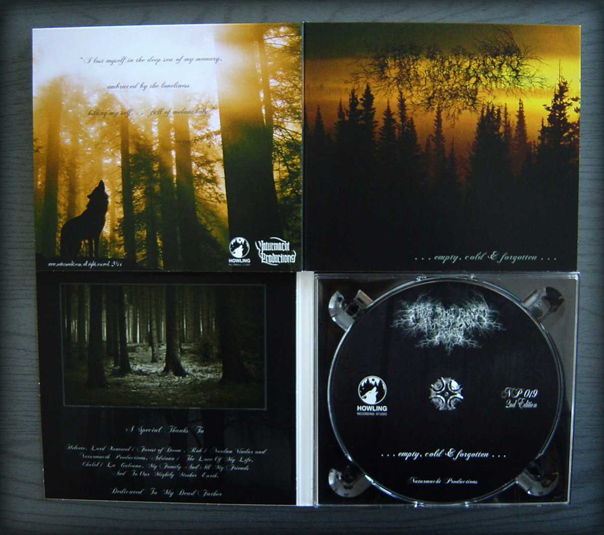 Empty, Cold & Forgotten (NP019) | From the Sunset, Forest and