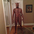Party Tiger thumbnail