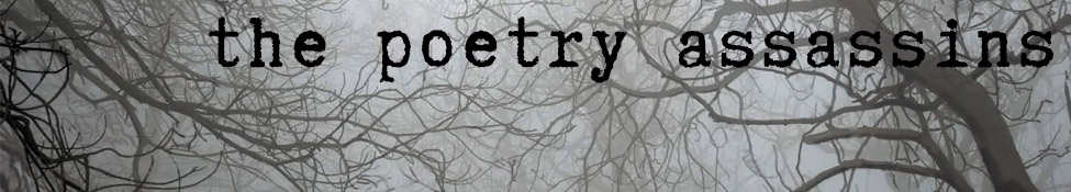 The Poetry Assassins — Photo · logo