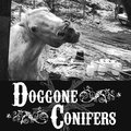 Doggone Conifers image