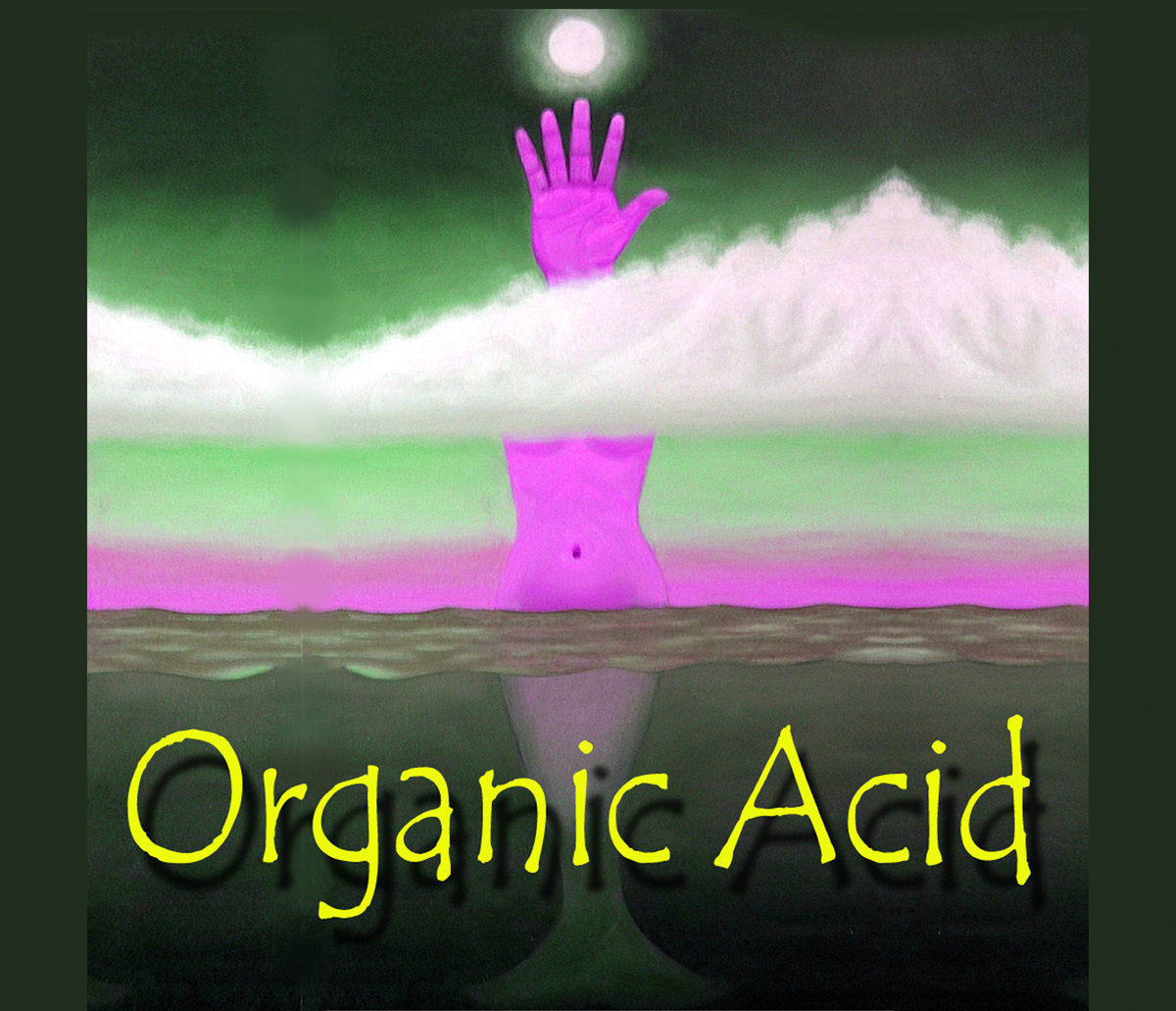 Organic Acid Organic Acid