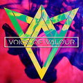 Voice Of Valour image