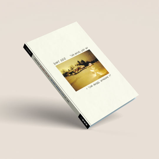 Sno Angel Like You Howe Gelb ハウ・ゲルブ CD Gelb, Howe - Sno Angel Like You - Amazon.com Music