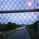 through_a_field thumbnail